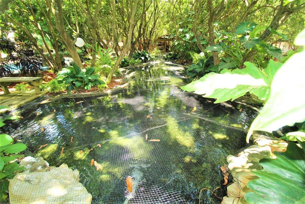 Magical Wonderkoi House In A Japanese Koi Garden Villa Miami Bagian luar foto